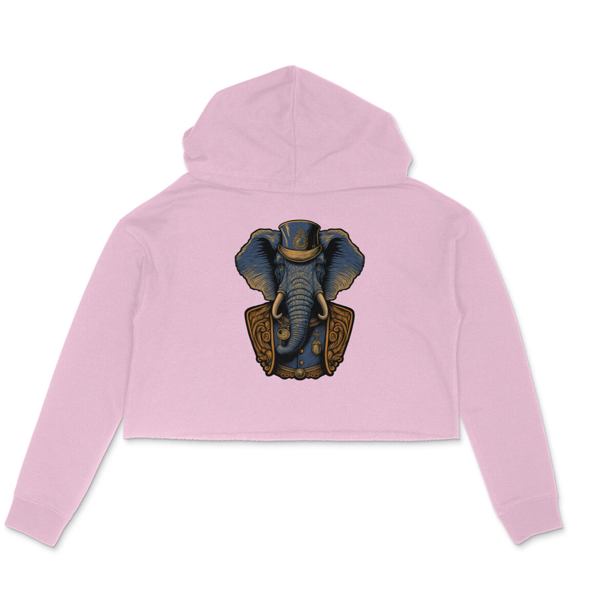 Joe The Elephant